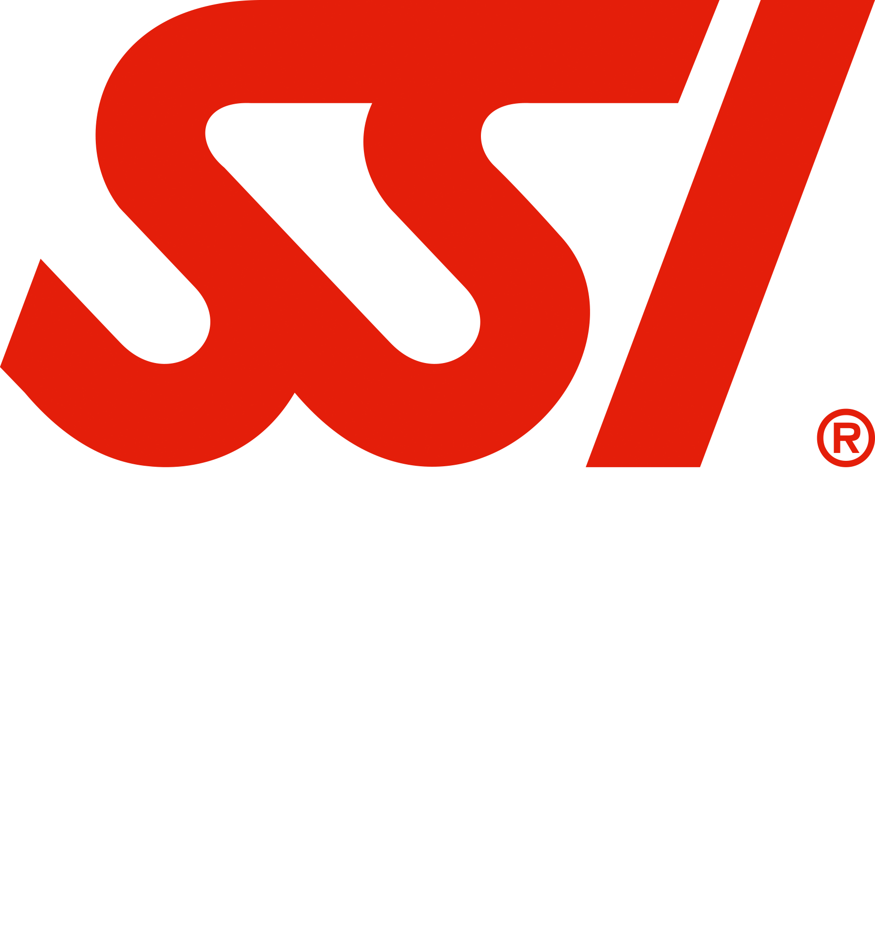 SSI scuba training agency logo, dive aran partner