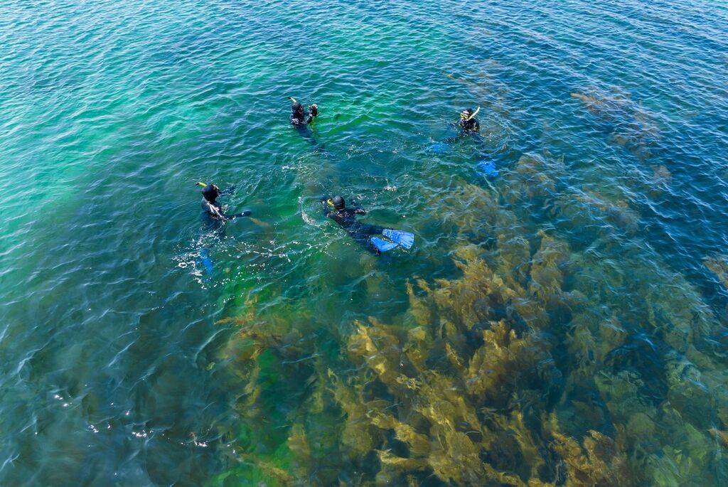 Snorkelers explore clear Atlantic water off Inishmore, Aran Islands